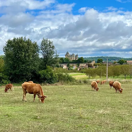 Le Perroudier Ferienhaus Vitrac (Dordogne)